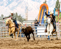 TooeleCountyRodeo-JMrazPhotography-Roping-8