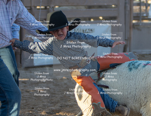 RMPRA-Genola-2024-JMrazPhotography-MuttonBusting-34
