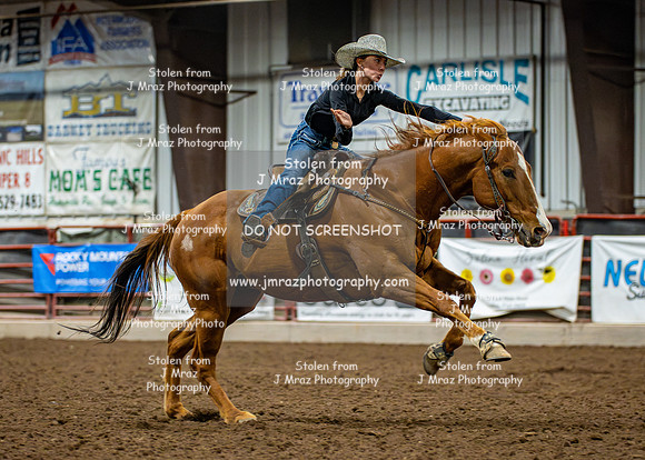 Dog&PonyShow-JMrazPhotography2024-640