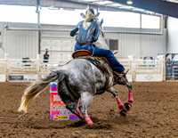 SatDog&PonyShow-May-JMrazPhotography-274