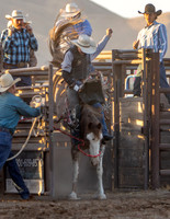 RMPRA-Genola-2024-JMrazPhotography-BarebackRiding-9