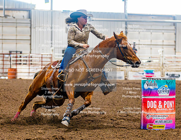 SatDog&PonyShow-May-JMrazPhotography-740