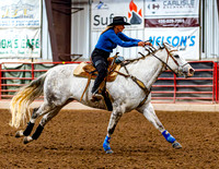 SatDog&PonyShow-May-JMrazPhotography-682