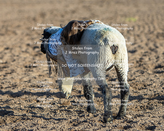 RMPRA-Genola-2024-JMrazPhotography-MuttonBusting-28