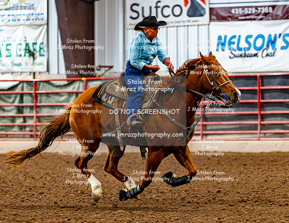 SatDog&PonyShow-May-JMrazPhotography-767