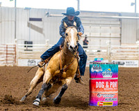 SatDog&PonyShow-May-JMrazPhotography-1220