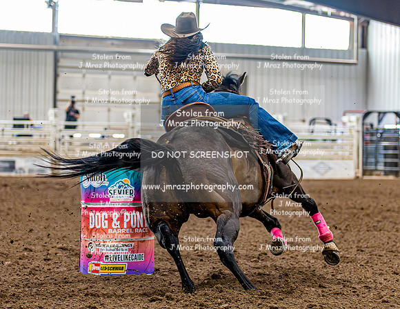 SatDog&PonyShow-May-JMrazPhotography-285