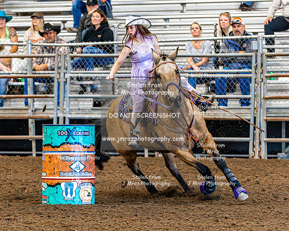 DressToImpress2024-JMrazPhotography-585
