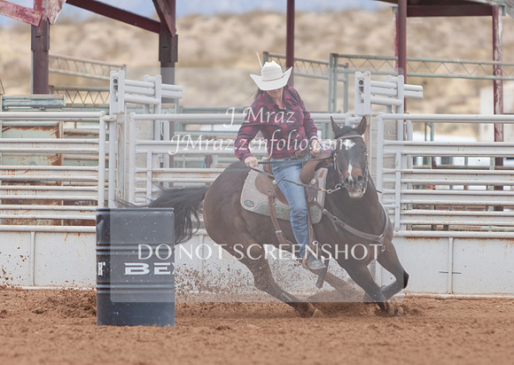 BEX2020-289
