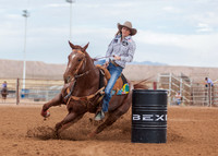 BEX2020-393