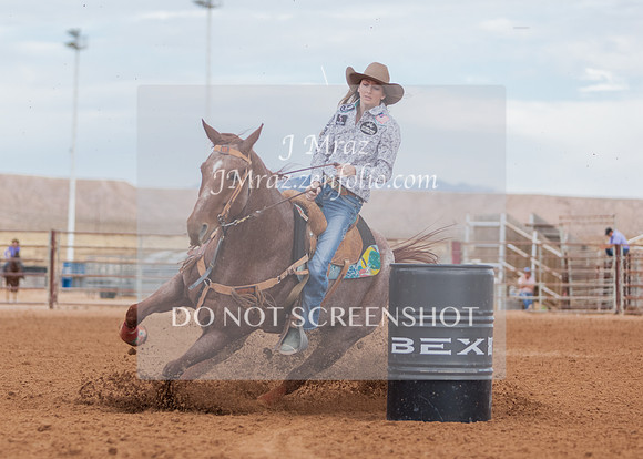 BEX2020-393