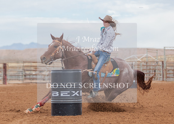 BEX2020-392