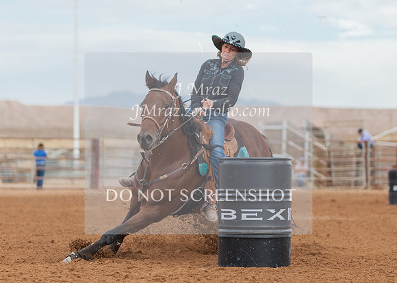 BEX2020-411
