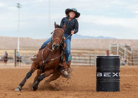 BEX2020-412