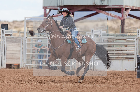 BEX2020-409