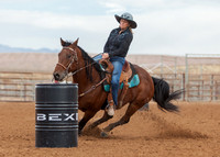 BEX2020-410
