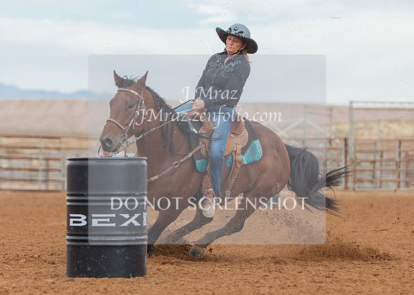 BEX2020-410