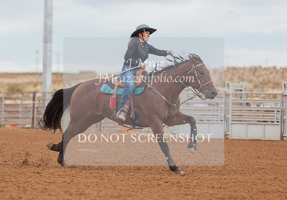 BEX2020-420