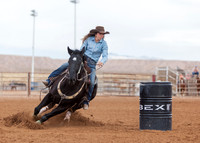 BEX2020-799