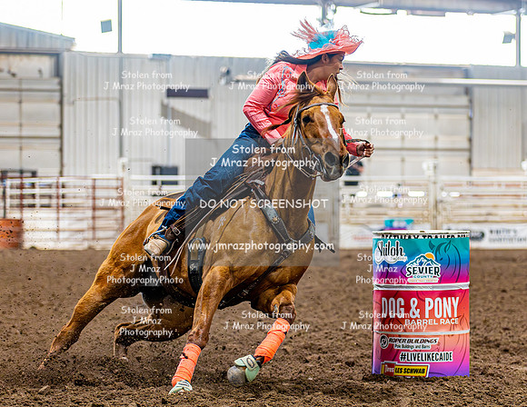 SatDog&PonyShow-May-JMrazPhotography-343