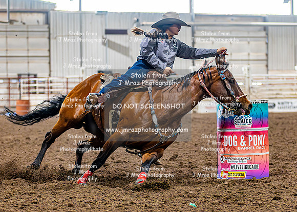 SatDog&PonyShow-May-JMrazPhotography-408