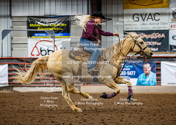 Dog&PonyShow-SaturdayAwards-1214