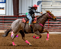 SatDog&PonyShow-May-JMrazPhotography-1211