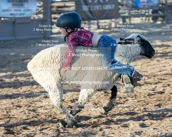 RMPRA-Genola-2024-JMrazPhotography-MuttonBusting-32
