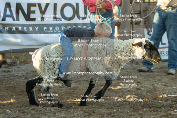 RMPRA-Genola-2024-JMrazPhotography-MuttonBusting-38