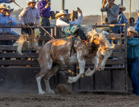 RMPRA-Genola-2024-JMrazPhotography-BarebackRiding-19