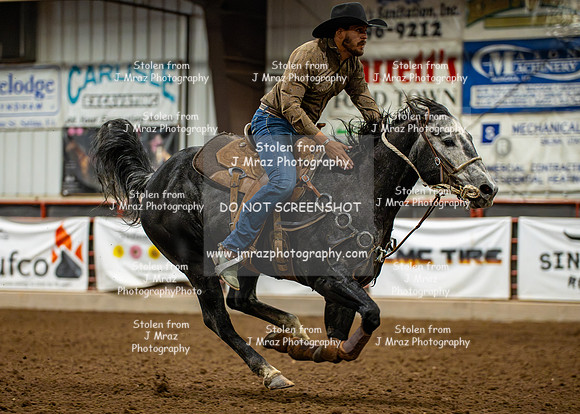 Dog&PonyShow-JMrazPhotography2024-307