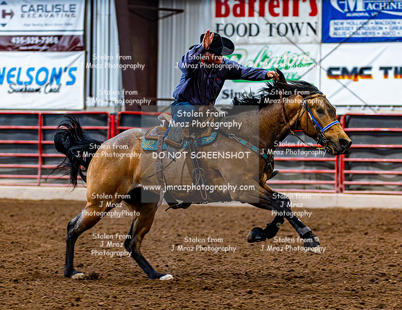 SatDog&PonyShow-May-JMrazPhotography-795