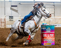 SatDog&PonyShow-May-JMrazPhotography-1450