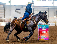 SatDog&PonyShow-May-JMrazPhotography-578