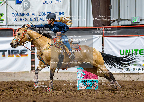 Dog&PonyShow-SaturdayAwards-785