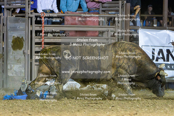 RMPRA-Genola-2024-JMrazPhotography-bullriding-96