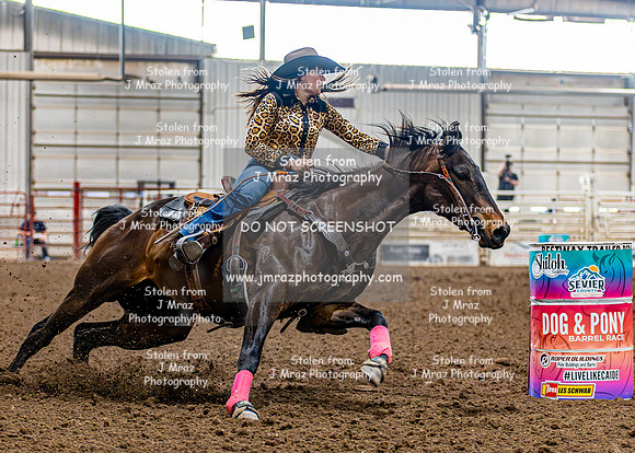 SatDog&PonyShow-May-JMrazPhotography-283