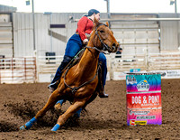 SatDog&PonyShow-May-JMrazPhotography-72