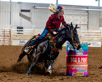 SatDog&PonyShow-May-JMrazPhotography-1191