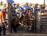 RMPRA-Genola-2024-JMrazPhotography-BarebackRiding-2
