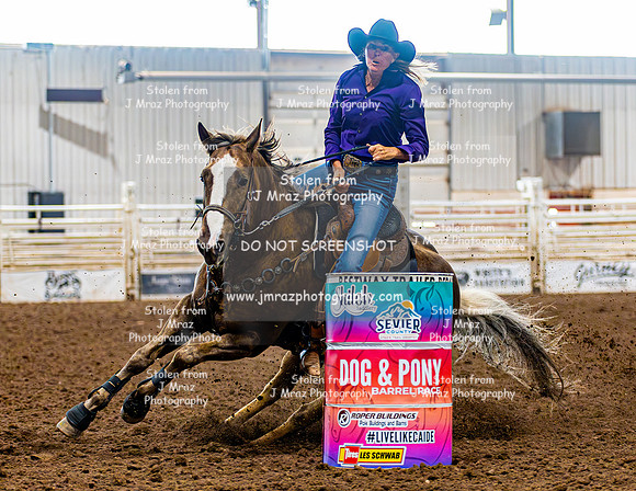 SatDog&PonyShow-May-JMrazPhotography-802