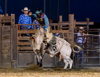 RMPRA-Genola-2024-JMrazPhotography-BullRiding-17