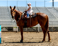 6-14-25-TheMoneyBarrelAwards-JMrazPhotography-10
