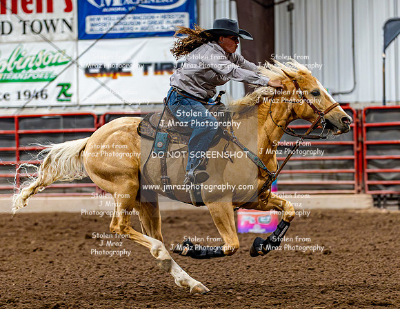 SatDog&PonyShow-May-JMrazPhotography-472