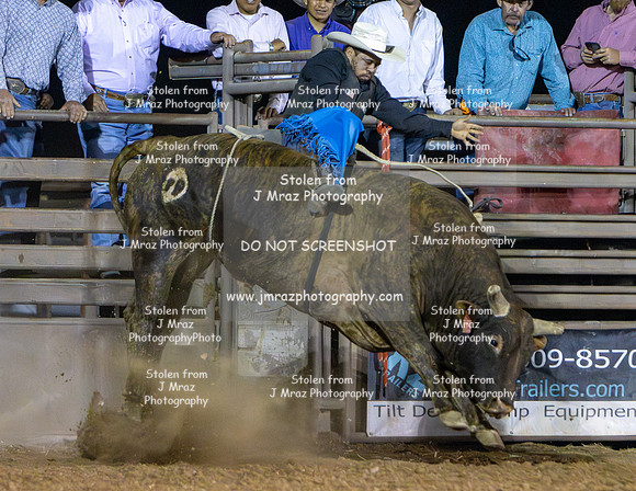 RMPRA-Genola-2024-JMrazPhotography-bullriding-89
