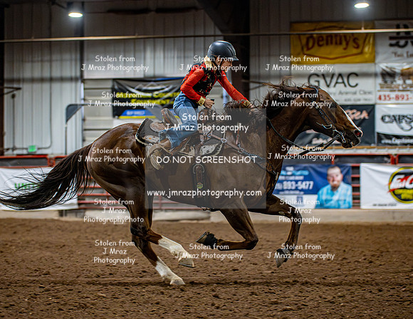Dog&PonyShow-JMrazPhotography-1613