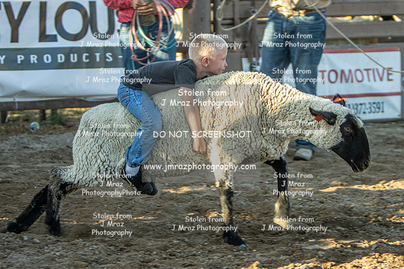 RMPRA-Genola-2024-JMrazPhotography-MuttonBusting-39