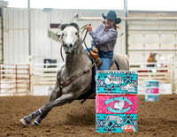 Dog&PonyShow-SaturdayAwards-210