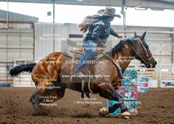 Dog&PonyShow-SaturdayAwards-460