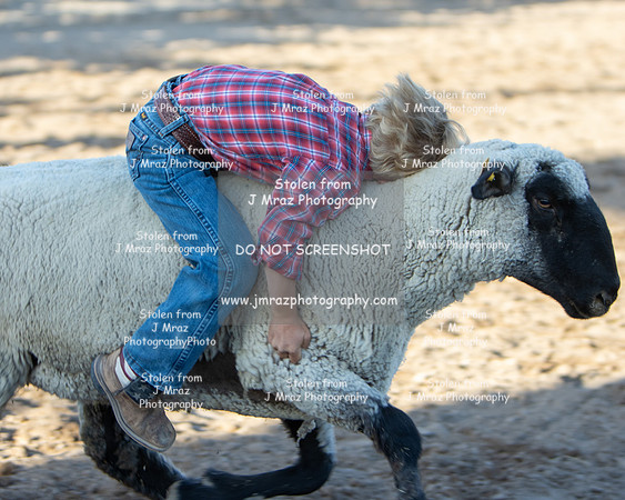 RMPRA-Genola-2024-JMrazPhotography-MuttonBusting-36